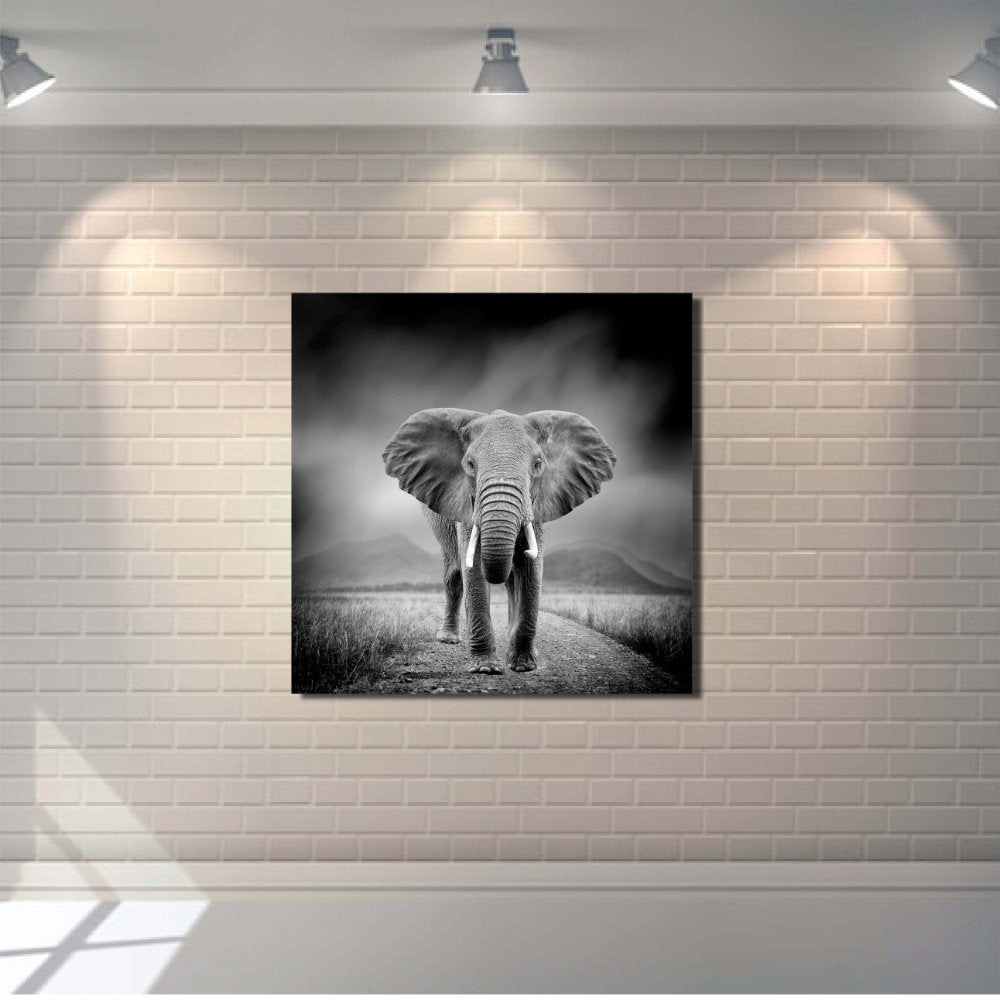 Black and White Image of a Elephant