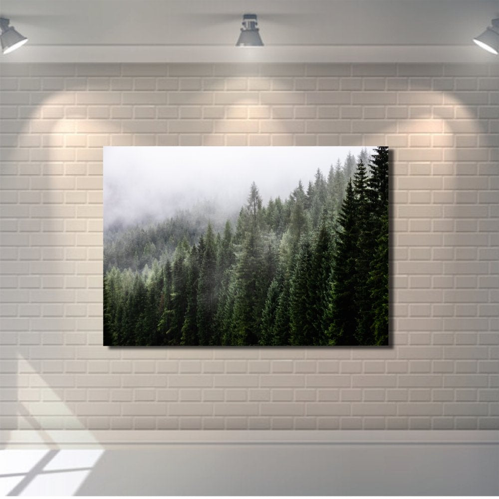 Fark fir forest with fog