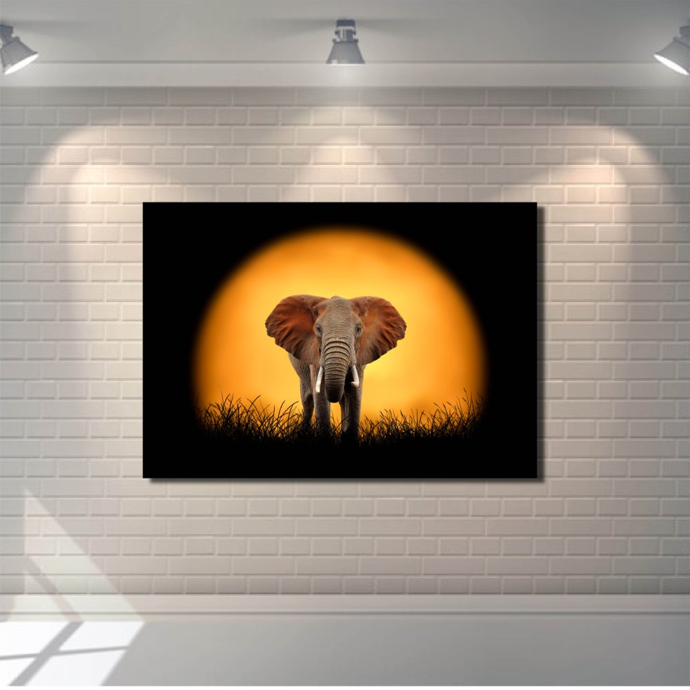 African Elephant on Sunset